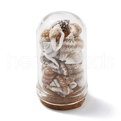 Glass Dome Bottle Display Decorations AJEW-JD00008-01-1