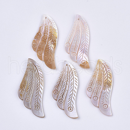 Freshwater Shell Big Pendants X-SHEL-T016-07-1