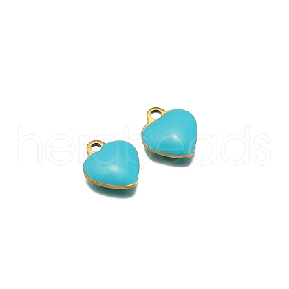 Stainless Steel Charms PW-WG0E535-02-1