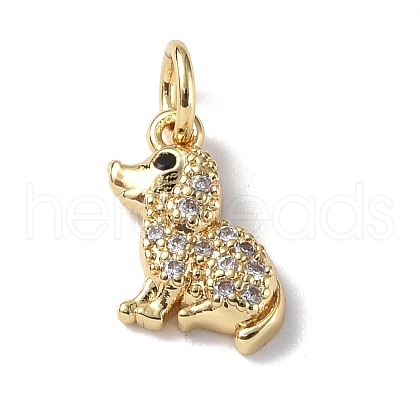 Brass Micro Pave Cubic Zirconia Charms ZIRC-F131-04G-1