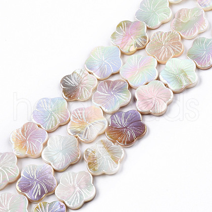 Electroplated Natural Freshwater Shell Beads Strands X-SHEL-N026-203B-01-1