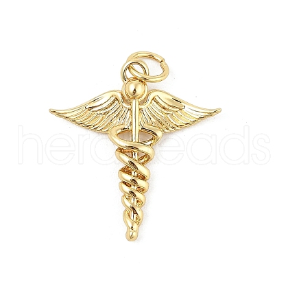 Brass Pendants KK-P300-21G-1