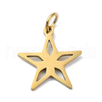 304 Stainless Steel Pendants STAS-C097-67G-1