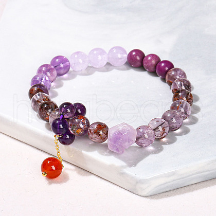 Natural Mixed Gemstone Round Beads Charm Bracelets WG1718F-08-1