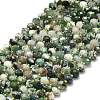 Natural Tree Agate Beads Strands G-P573-A17-01-2