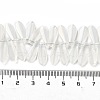 Electroplate Glass Beads Strands EGLA-C005-01A-AB01-4