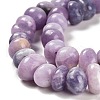 Natural Lepidolite/Purple Mica Stone Beads Strands G-G053-C01-01-4