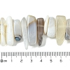 Natural Grey Agate Beads Strands G-G117-C06-01-5