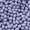 Baking Painted Glass Seed Beads SEED-C004-04I-3