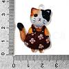 Transparent Printed Acrylic Pendants OACR-E043-06A-3