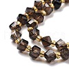 Natural Smoky Quartz Beads Strands G-P463-49-4