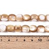 Natural Trochid Shell/Trochus Shell Beads Strands SSHEL-N040-14-4