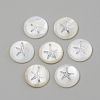 Freshwater Shell Pendants SHEL-Q010-001P-1