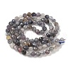 Natural Iolite Beads Strands G-G188-B04-06A-4