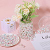 Globleland ABS Plastic Imitation Pearl Beads KY-GL0001-04-5