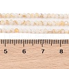 Natural Freshwater Shell Beads Strands X-SHEL-T011-02-4mm-4