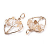 Natural Citrine Pendants G-T131-97-3