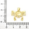 Brass Pendants KK-S511-17G-3