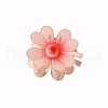 Resin Claw Hair Clips PW-WG87363-10-1