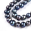 Natural Cultured Freshwater Pearl Beads Strands PEAR-N013-08C-02-4