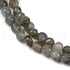 Natural Labradorite Beads Strands G-Q060-B02-4