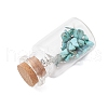 5Pcs 5 Styles Glass Wish Bottle Display Decorations PALLOY-JF03643-5