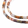 Natural Crazy Lace Agate Beads Strands G-S299-142-3