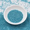 MIYUKI Delica Beads SEED-J020-DB2382-2