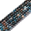 Natural Apatite Beads Strands G-H287-01B-1