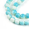 Transparent Baking Painted Glass Beads Strands DGLA-N009-10mm-05-4