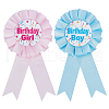 CREATCABIN 2Pcs 2 Style Polyester Birthday Tinplate Badge Pins AJEW-CN0001-28-1