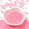 Glass Seed Beads SEED-H002-L-A238-2