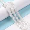 Natural Rainbow Moonstone Beads Strands G-A208-12-3