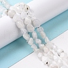 Natural Rainbow Moonstone Beads Strands G-A208-12-1