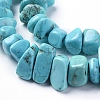 Natural Magnesite Beads Strands TURQ-G152-C01-3