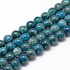 Natural Apatite Beads Strands G-R446-6mm-11-1