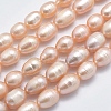 Natural Cultured Freshwater Pearl Beads Strands PEAR-F007-85A-01A-1