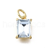 Brass Glass Charms KK-V011-36G-B-1