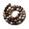 Natural Mexico Crazy Agate Beads Strands G-L615-A01-02-9