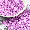 Baking Paint Luster Glass Seed Beads X1-SEED-B001-04A-07-1