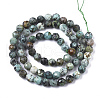 Natural African Turquoise(Jasper) Beads Strands G-S361-6mm-002-2