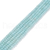 Grade A Natural Amazonite Beads Strands G-C046-01A-1