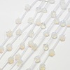 Opalite Beads X-G-O156-B-12-1