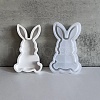 Easter Theme Rabbit DIY Silicone Table Lamp Molds SIMO-G008-02E-1