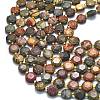 Natural Picasso Jasper/Polychrome Jasper Beads Strands G-C116-A118-01-3