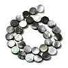 Natural Black Lip Shell Beads Strands BSHE-D300-05-12mm-2