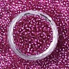 Glass Seed Beads SEED-S042-04A-03-2