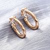 Alloy Silicone Clip-on Earrings EJEW-Z120-01G-02-1