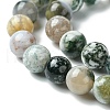 Natural Tree Agate Round Gemstone Beads Strands G-R255-8mm-4