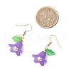 5Pairs Acrylic Dangle Earrings EJEW-JE06426-3